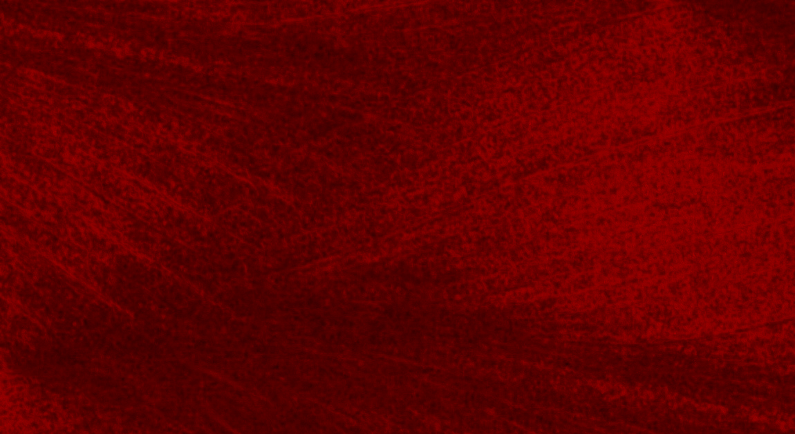 100 ��� ����� ��. �.�. ����������