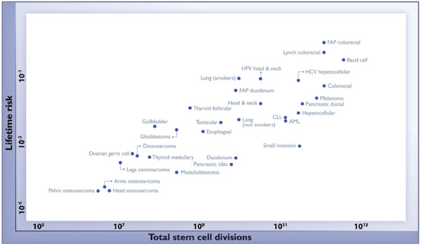 variation_in_cancer_risk_2_600.jpg
