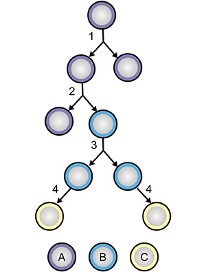 variation_in_cancer_risk_1_300.jpg variation_in_cancer_risk_1_300.jpg