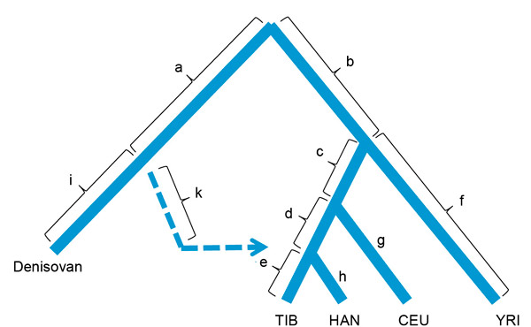altitude_adaptation_in_tibetans_2_600.jpg