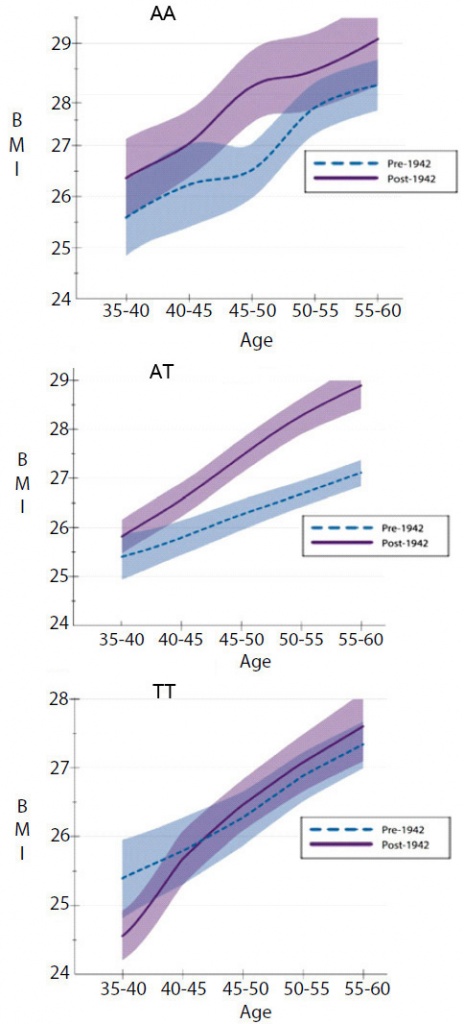 cohort_of_birth_modifies_genotype_and_bmi_fig2_484.jpg