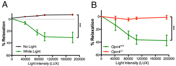 melanopsin_fig2_600.jpg