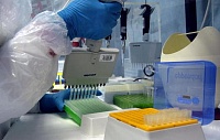 Ученые выделили вариации генов иммунной системы, защищающие европейцев от гриппа Ученые выделили вариации генов иммунной системы, защищающие европейцев от гриппа