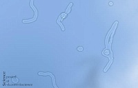          ? (Re.) (Science-Fact)