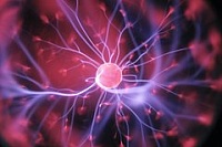 Для восстановления нейронов предложили использовать шелк Для восстановления нейронов предложили использовать шелк