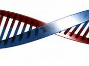 Найден ген, подавляющий ВИЧ-инфекцию Найден ген, подавляющий ВИЧ-инфекцию