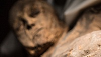 Мумия помогла ученым раскрыть один из секретов возникновения оспы Мумия помогла ученым раскрыть один из секретов возникновения оспы