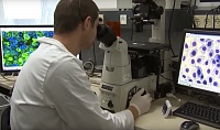 Американские ученые близки к разработке вакцины против смертельного вируса Нипах Американские ученые близки к разработке вакцины против смертельного вируса Нипах