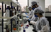 Создана перспективная основа для универсальной вакцины от ВИЧ Создана перспективная основа для универсальной вакцины от ВИЧ