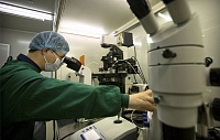 На базе ослабленного коронавируса создали новую вакцину. Ее нужно вводить через нос На базе ослабленного коронавируса создали новую вакцину. Ее нужно вводить через нос