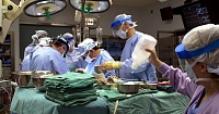 В Италии впервые пересадили печень от донора, умершего в возрасте более 100 лет В Италии впервые пересадили печень от донора, умершего в возрасте более 100 лет