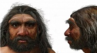  .      Homo sapiens
