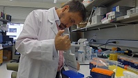 Ученые сделали первый шаг к избавлению людей от "коровьего бешенства" Ученые сделали первый шаг к избавлению людей от "коровьего бешенства"