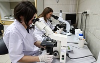 В России создали уникальную технологию замещения поврежденных нервов В России создали уникальную технологию замещения поврежденных нервов