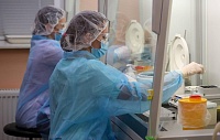 Коронавирусную инфекцию в легких макак подавило лекарство от Эболы Коронавирусную инфекцию в легких макак подавило лекарство от Эболы