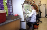 Краситель E129 провоцирует развитие легких форм колита кишечника Краситель E129 провоцирует развитие легких форм колита кишечника