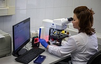 Российские биологи впервые модифицировали ДНК клеток клонированной коровы Российские биологи впервые модифицировали ДНК клеток клонированной коровы