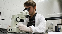 Топ-10 научных открытий года по версии Science возглавило исследование развития эмбрионов Топ-10 научных открытий года по версии Science возглавило исследование развития эмбрионов
