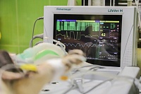Новый материал из углеродных нанотрубок увеличит надежность искусственных клапанов сердца Новый материал из углеродных нанотрубок увеличит надежность искусственных клапанов сердца
