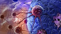 Ученые нашли способ предотвратить образование метастазов при раке Ученые нашли способ предотвратить образование метастазов при раке