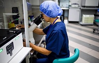 В США создали вакцину от лихорадки Зика В США создали вакцину от лихорадки Зика