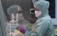 На основе прививки от желтой лихорадки создали вакцину от коронавируса На основе прививки от желтой лихорадки создали вакцину от коронавируса