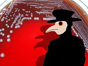 Эпидемию кори в Европе может остановить только вакцинация Эпидемию кори в Европе может остановить только вакцинация