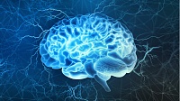 Предложена новая теория сознания Предложена новая теория сознания