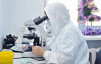 Получены новые лекарственные формы для лечения пародонта Получены новые лекарственные формы для лечения пародонта