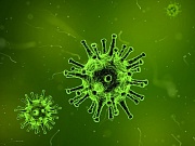 Вирусные гепатиты: заблуждения и факты Вирусные гепатиты: заблуждения и факты