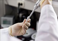 Китайские ученые нашли нейтрализующие антитела к коронавирусу Китайские ученые нашли нейтрализующие антитела к коронавирусу
