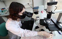 Раскрыт механизм работы белка, перекачивающего отрицательно заряженные ионы Раскрыт механизм работы белка, перекачивающего отрицательно заряженные ионы