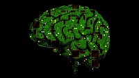 Шизофрения, аутизм и биполярное расстройство имеют схожие молекулярные черты Шизофрения, аутизм и биполярное расстройство имеют схожие молекулярные черты