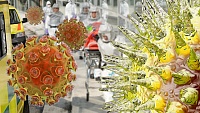 Красивые и опасные: вирусы, от которых нет спасения Красивые и опасные: вирусы, от которых нет спасения