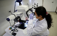 Развитие метастазов рака кишечника связали с одной из форм белка CD44 Развитие метастазов рака кишечника связали с одной из форм белка CD44