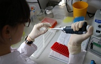 Из стволовых клеток впервые вырастили "инкубаторы" для яйцеклеток Из стволовых клеток впервые вырастили "инкубаторы" для яйцеклеток
