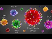 Ученые МГУ нашли способ ускорить определение разных штаммов коронавируса Ученые МГУ нашли способ ускорить определение разных штаммов коронавируса