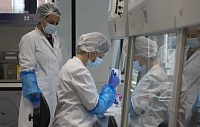 Завершены испытания лекарства от сонной болезни Завершены испытания лекарства от сонной болезни
