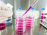 Новый онкомаркер и приборы для неинвазивной диагностики рака Новый онкомаркер и приборы для неинвазивной диагностики рака