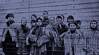 Эпидемия как оружие. Что спасало евреев от тифа в Варшавском гетто Эпидемия как оружие. Что спасало евреев от тифа в Варшавском гетто