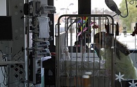Клетки детской рабдомиосаркомы превратили в здоровые мышечные Клетки детской рабдомиосаркомы превратили в здоровые мышечные