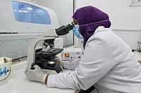 Выявлены устойчивые к лекарствам варианты COVID-19 Выявлены устойчивые к лекарствам варианты COVID-19