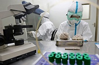 В США займутся созданием особых смертоносных вирусов В США займутся созданием особых смертоносных вирусов