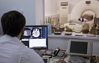 Специалисты нашли способ адаптировать нейроинтерфейс к работе с мозгом парализованного Специалисты нашли способ адаптировать нейроинтерфейс к работе с мозгом парализованного
