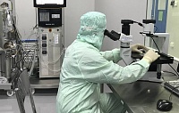 Унаследованные от неандертальцев гены могут снижать риск заражения ВИЧ Унаследованные от неандертальцев гены могут снижать риск заражения ВИЧ