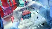 Эффективность лечения рака удалось повысить на 20% при помощи средства от малярии Эффективность лечения рака удалось повысить на 20% при помощи средства от малярии