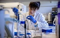 Ученые выявили мутации в глобальном геноме SARS-CoV-2, вызванные молнупиравиром Ученые выявили мутации в глобальном геноме SARS-CoV-2, вызванные молнупиравиром