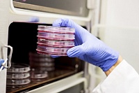 Изобретена эффективная вакцина против агрессивного рака Изобретена эффективная вакцина против агрессивного рака
