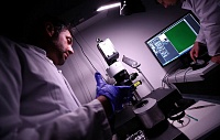Геномный редактор CRISPR-Cas9 приспособили для борьбы с болезнями крови Геномный редактор CRISPR-Cas9 приспособили для борьбы с болезнями крови