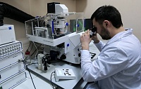 Генетическое разнообразие скифов оказалось неожиданно высоким Генетическое разнообразие скифов оказалось неожиданно высоким